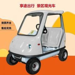 自驾车旅游代步车亲子车两座电动车四轮